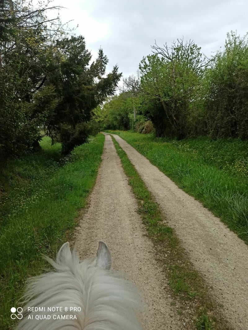 Le sentier de la Faye - Roumazières-Loubert
