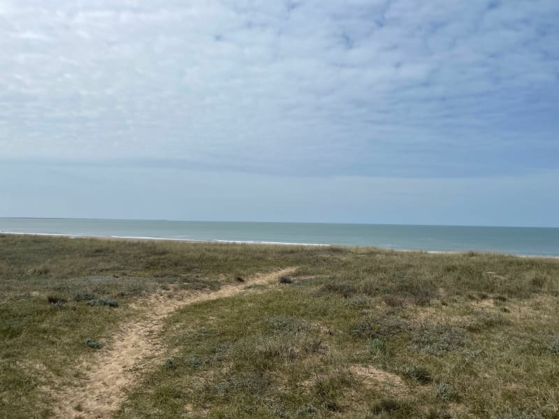 Forêt et dunes à Longeville-sur-Mer. - Longeville-sur-Mer