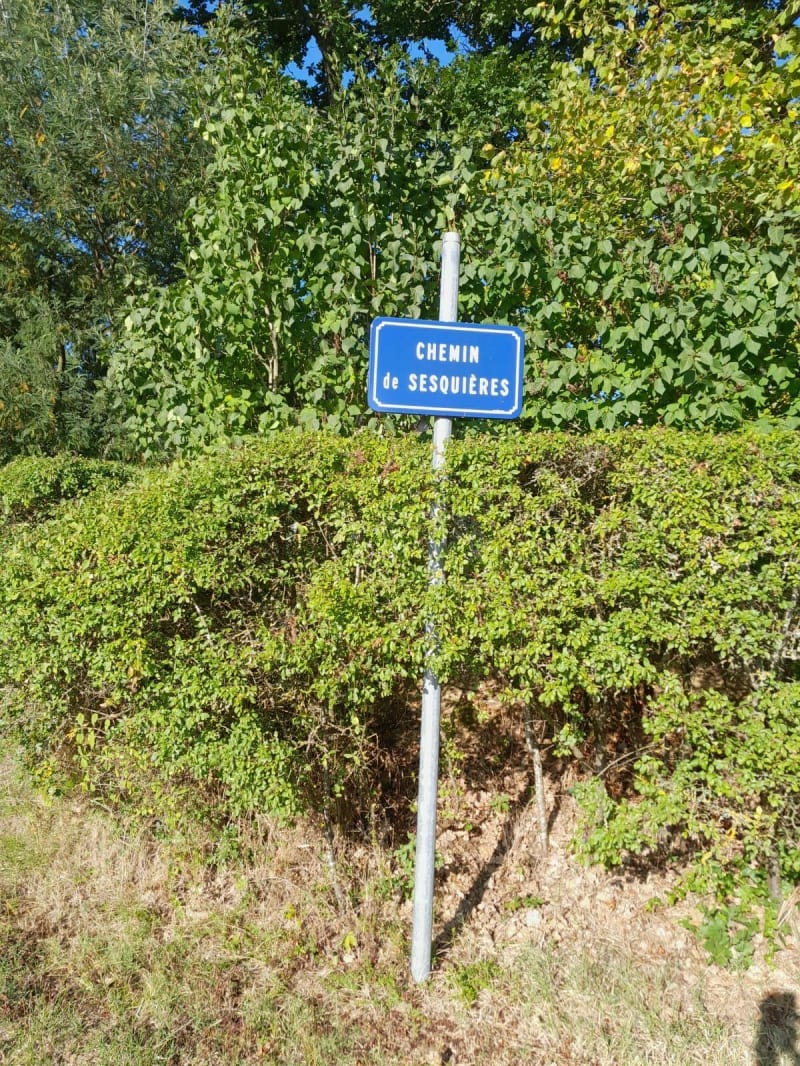 Marche au Lac Sesquières - Aucamville
