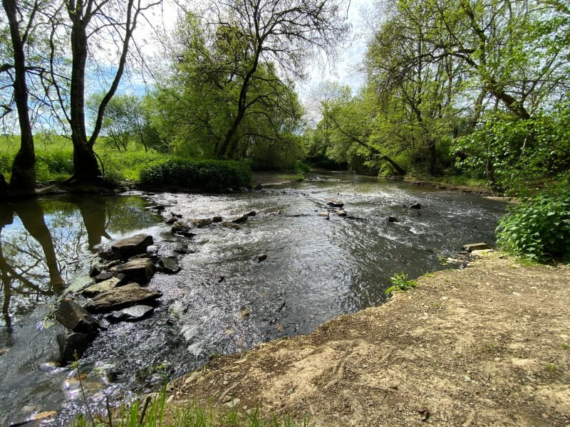 Petite balade au gué de la Roche Joué sur Erdre - Joué-sur-Erdre