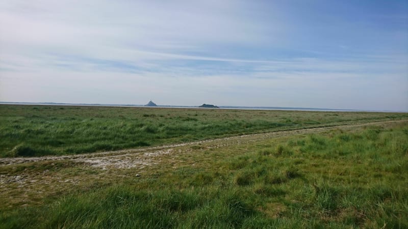 Balade le long de la Baie du Mont-Saint-Michel - Genêts