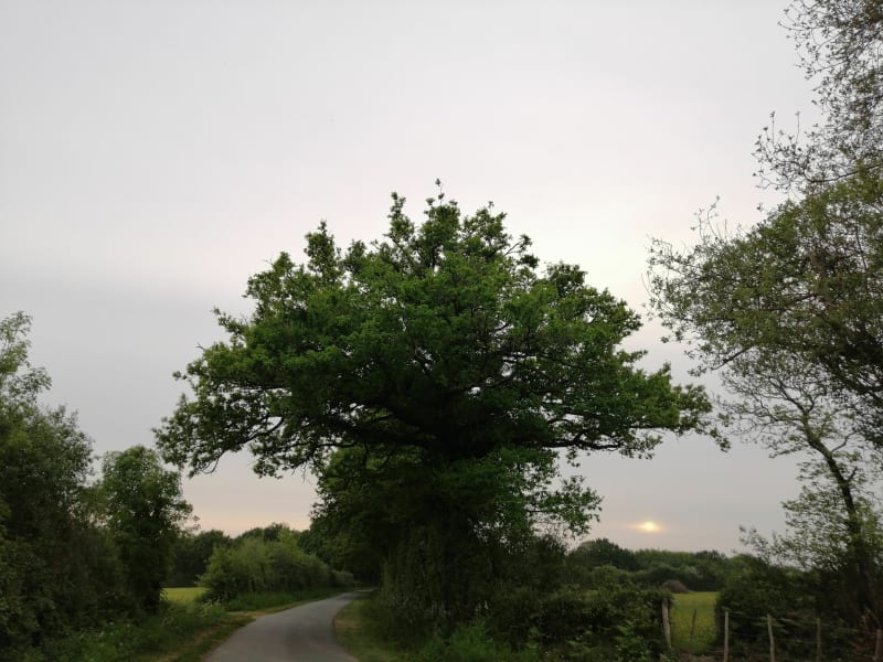 Boucle vers L'anglais au départ de la Moussoirie. - La Boissière-des-Landes