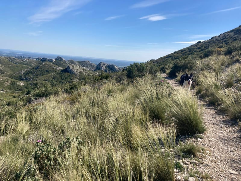 De Trincades en de Blauwe Lagune van Maussane-les-Alpilles - Maussane-les-Alpilles