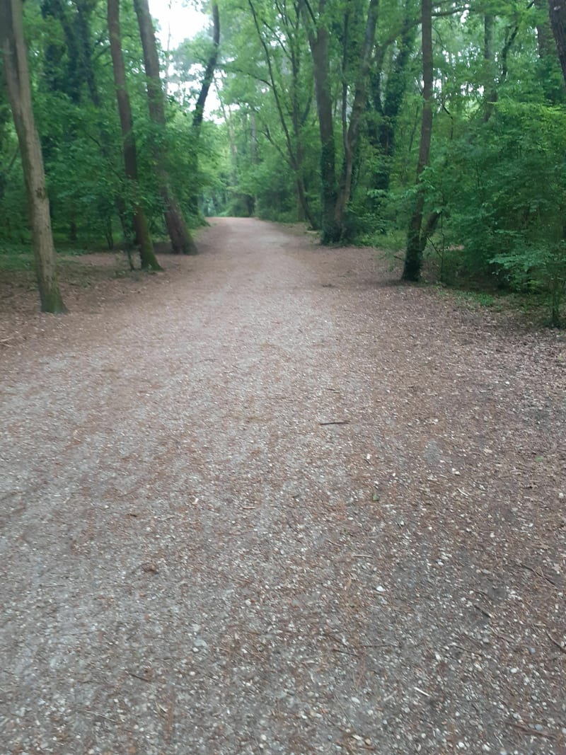 Marche rapide au Domaine du Pinsan - Eysines