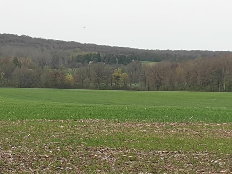 Promenade le long du bois de la marquise - Gerbéviller