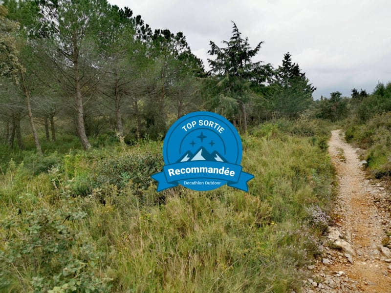 Balade en garrigue - Baillargues