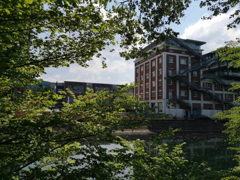 Balade d'un parc à l'autre le long du canal - Strasbourg