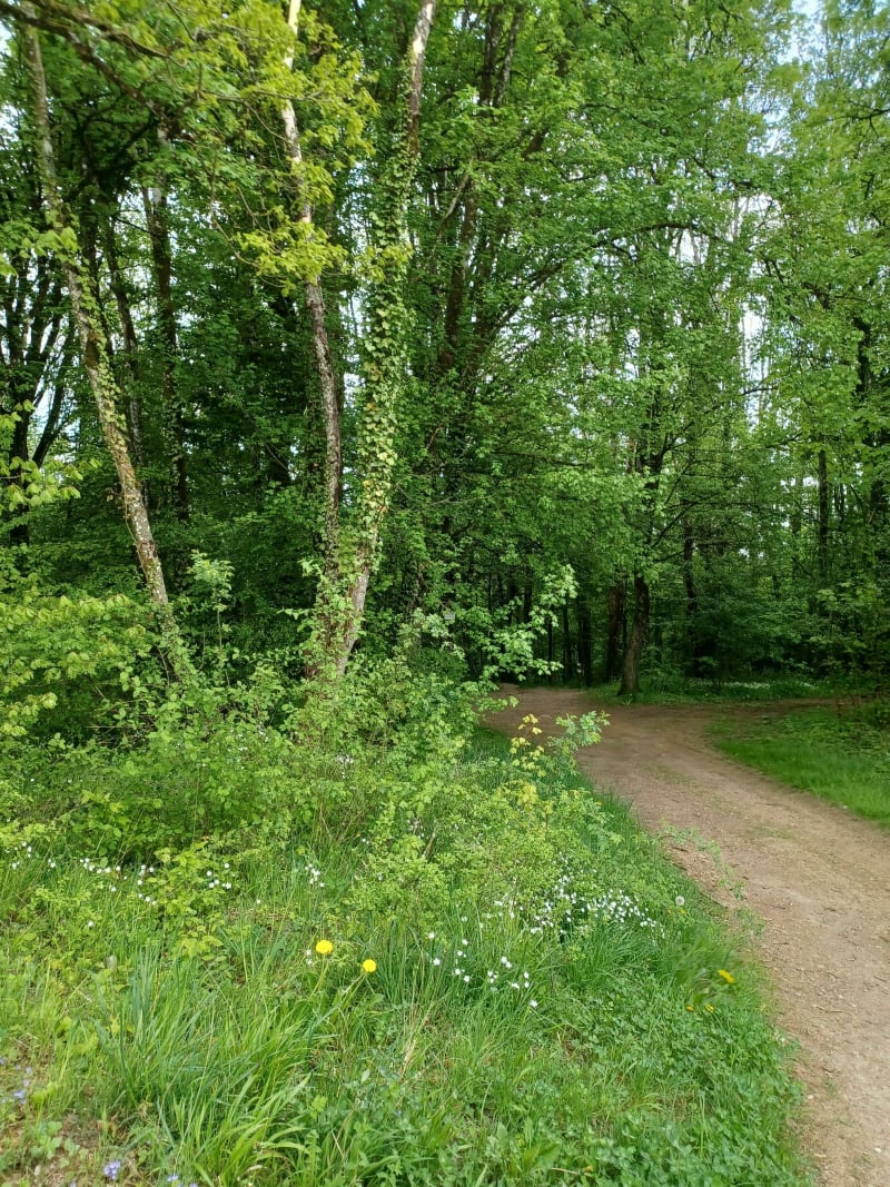 Sentier découverte Oeutrange - Thionville