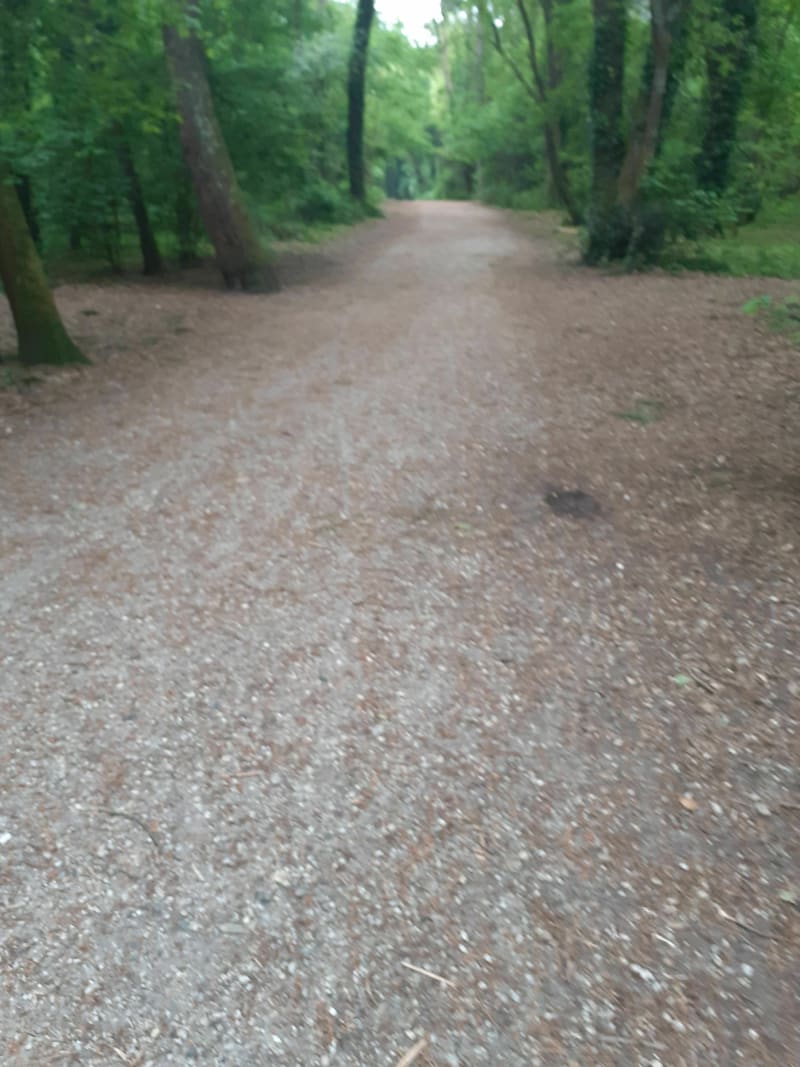 Balade au Parc du Pinsan - Bordeaux