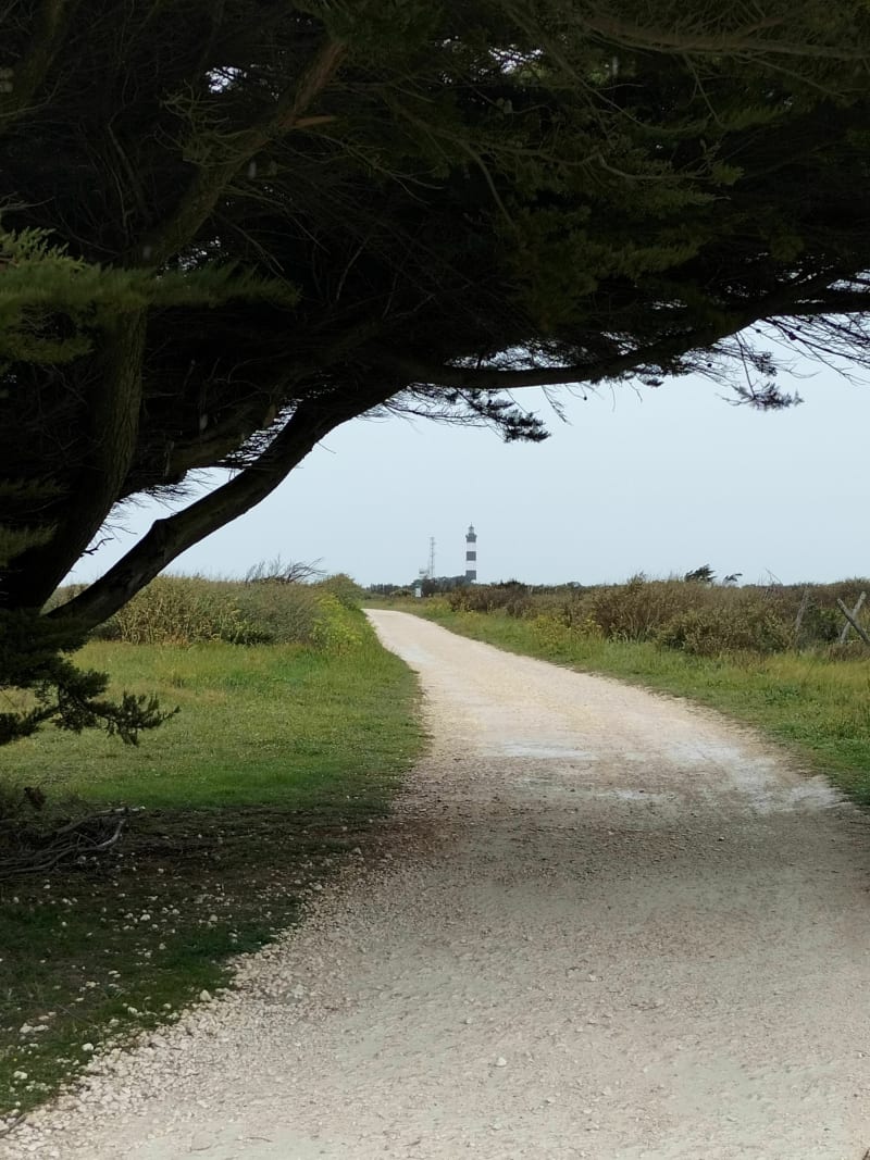 La pointe d'Oléron sous les embruns - Saint Denis d'Oléron