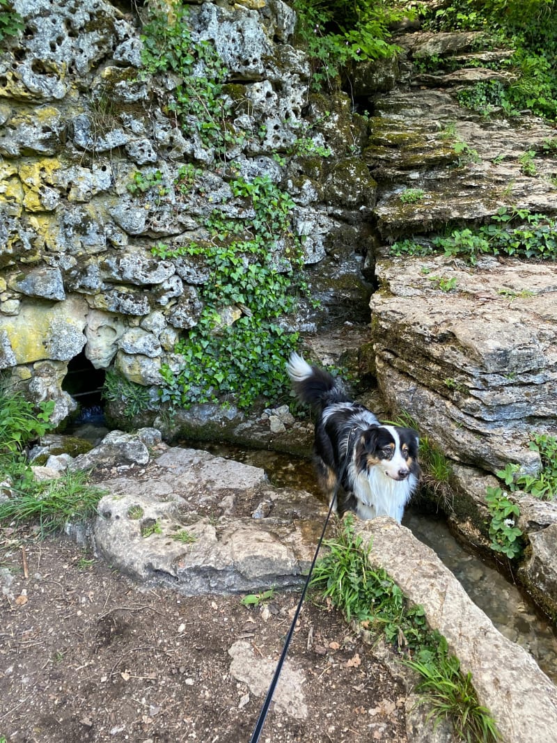 Fontaine de Jouvence - Messigny-et-Vantoux