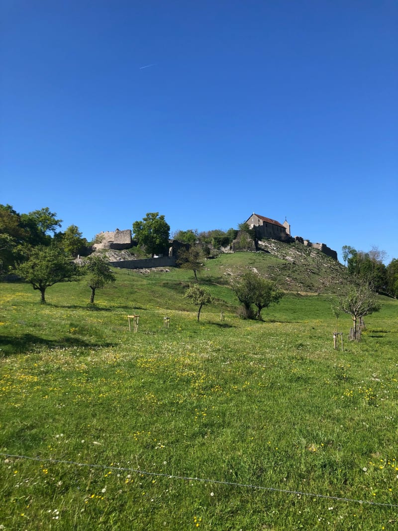 Belle balade vers le château vieux - Allinges