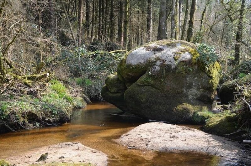 Les hauts du Pélem - Saint-Nicolas-du-Pélem