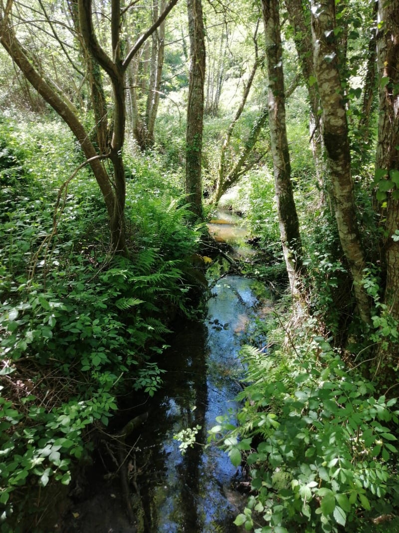 Promenade le long de La Lière - Sainte-Flaive-des-Loups