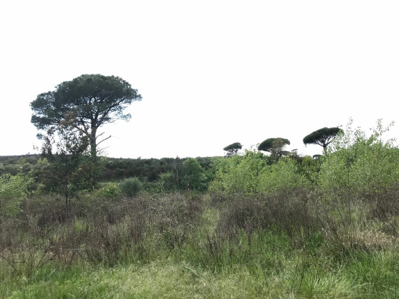 Les Pétugons - Roquebrune-sur-Argens