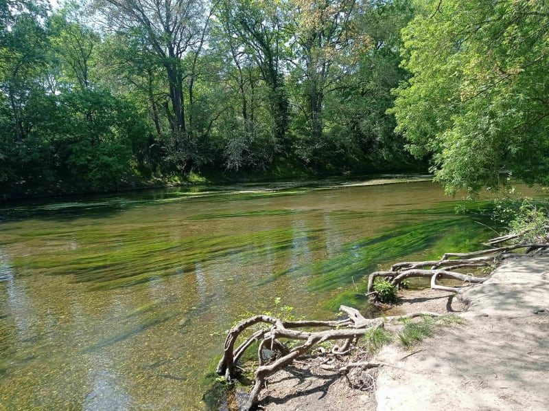 Balade jusqu'à pointe de courpain - Orléans