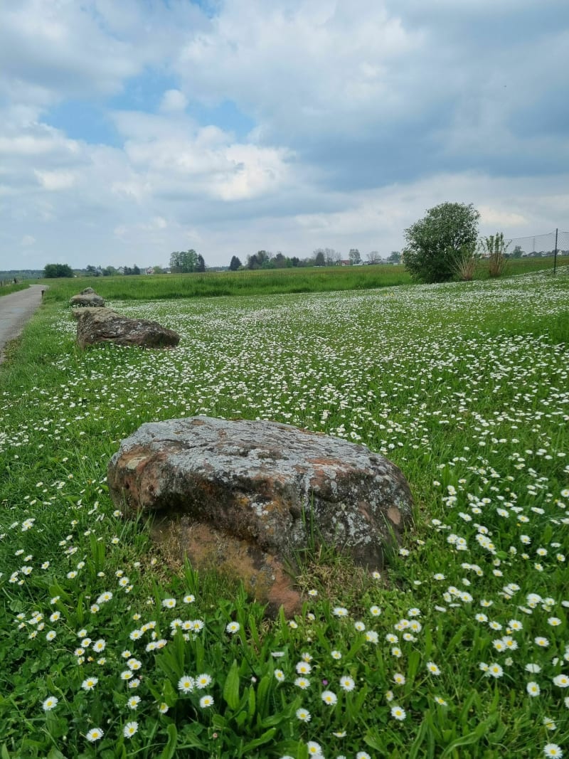 Autour du Hunshof - Haguenau