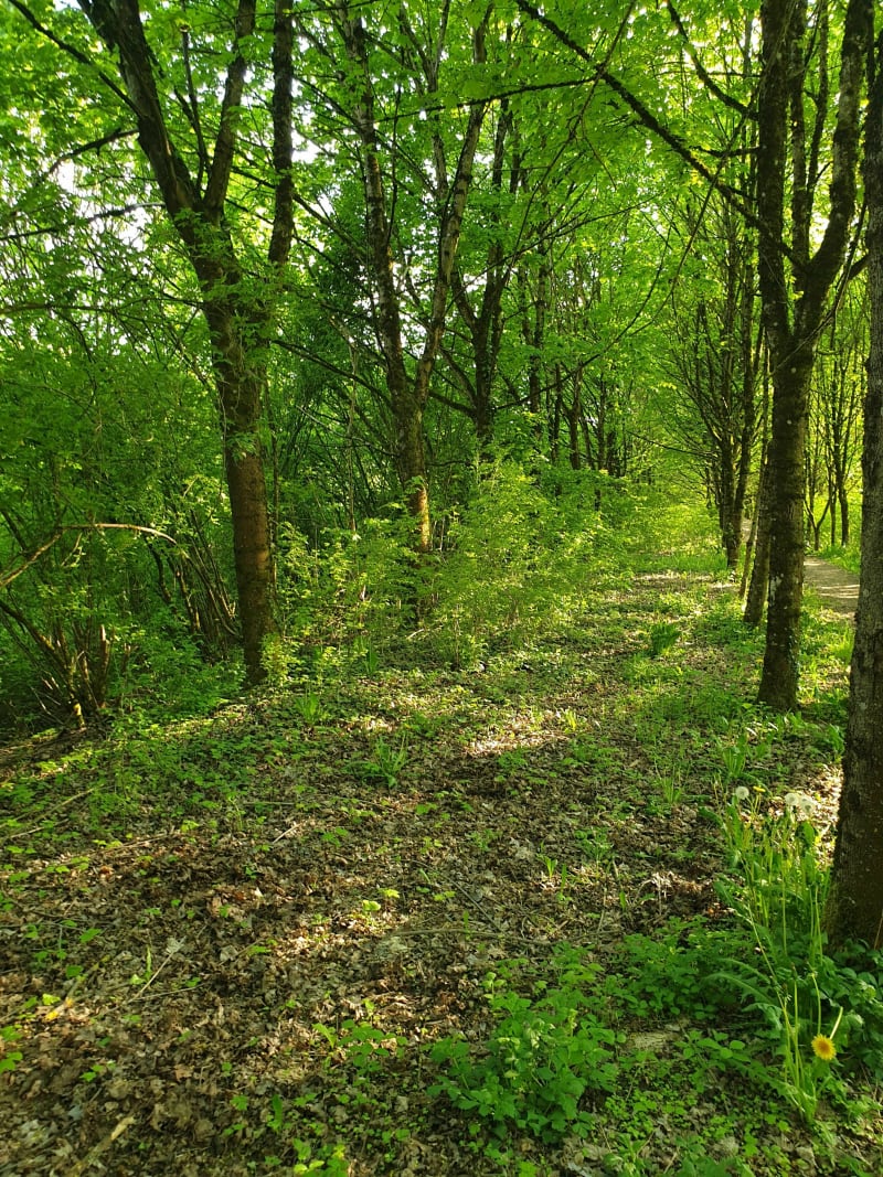 Le Grand jardin et la voie verte de Saulnes - Saulnes, Longwy