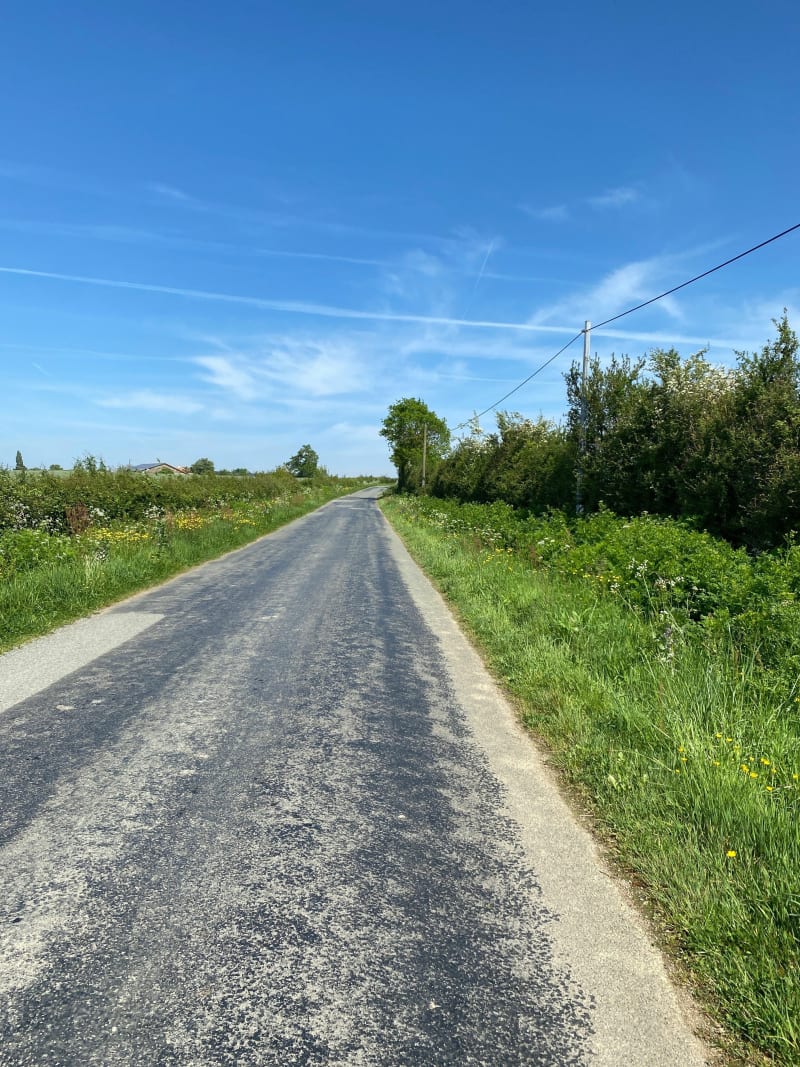 Balade avec passage à l’étang de la Copechagnière - La Copechagnière