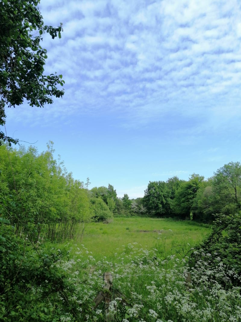 La Chevalerie à l'Anglais par les chemins creux - Saint-Vincent-sur-Graon