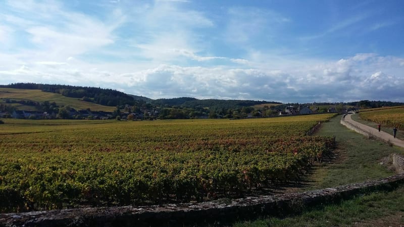 Le tour de Jamble en VTT - Givry