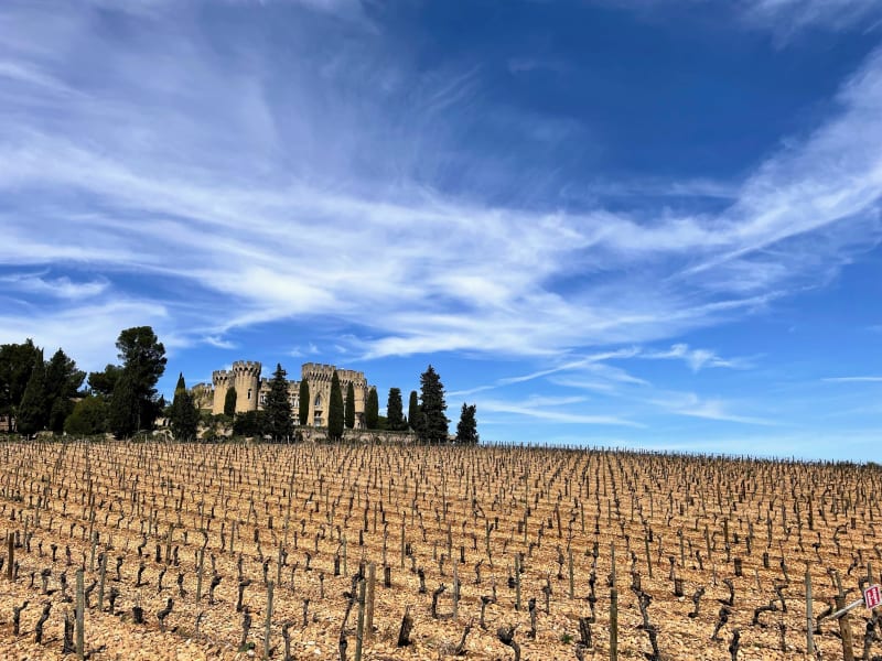 Autour de Châteauneuf-du-Pape - Courthézon
