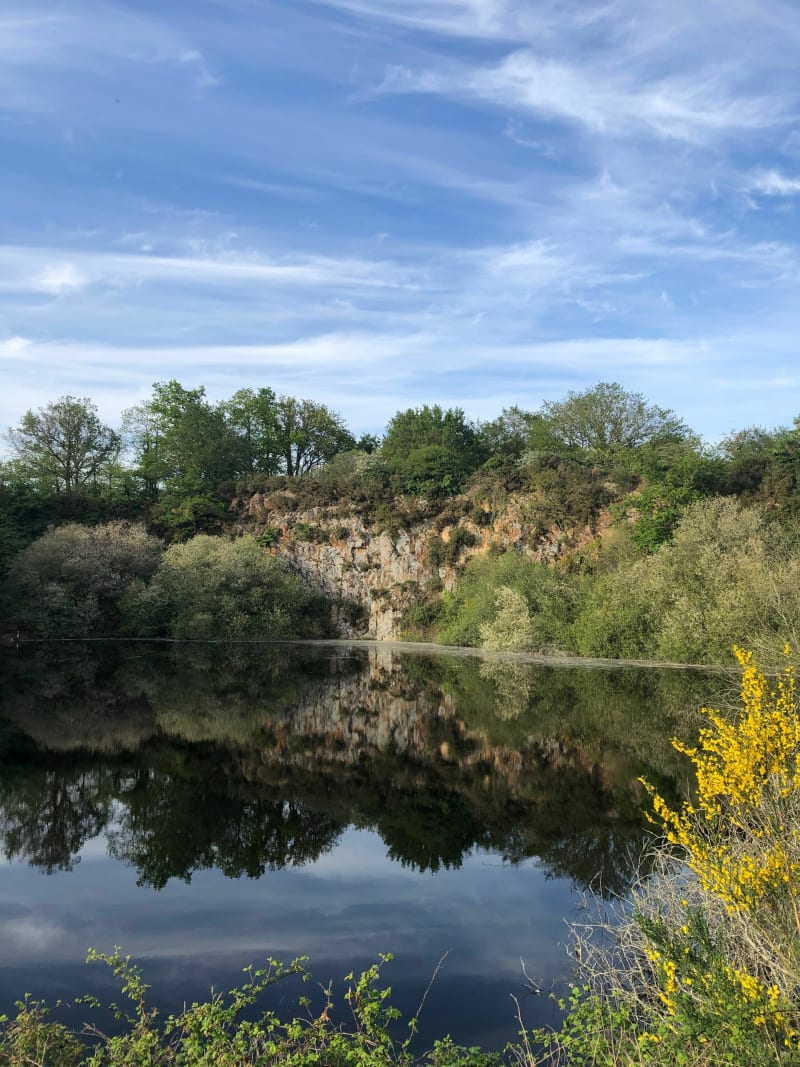 Running du soir sur le petit parcours de Moulin Papon - La Ferrière