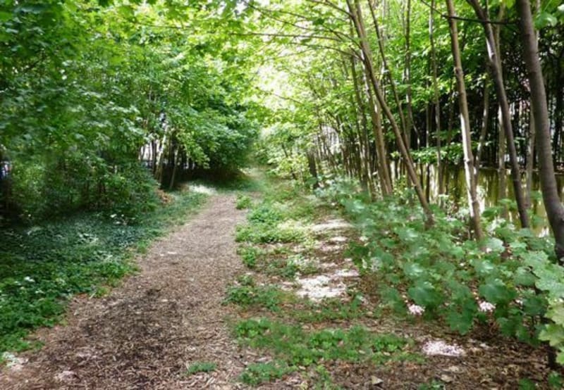 Parcours nature de Mortfontaine cité - Morfontaine