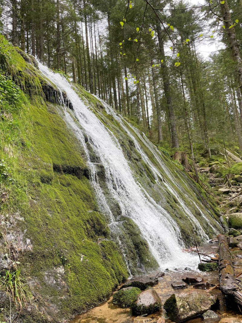 De la Croix des Hêtres aux cascades de la Pissoire - Vagney