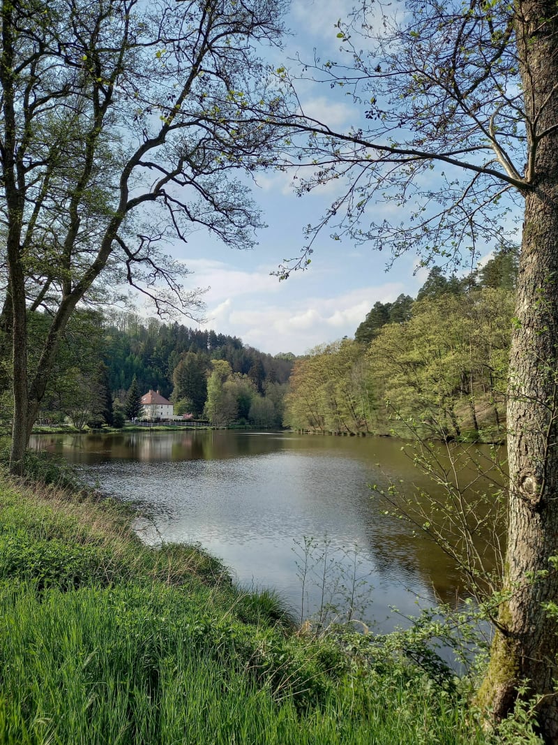 Balade autour de l'Étang de Saint-Louis-lès-Bitche - Saint-Louis-lès-Bitche