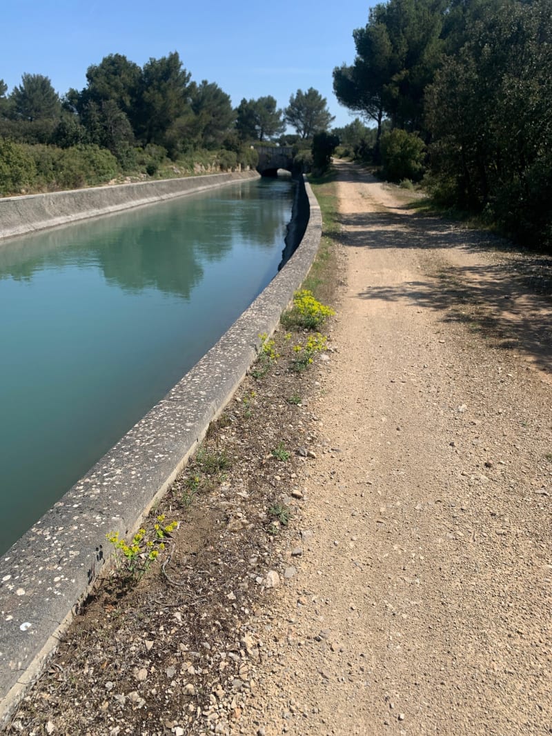 Balade au bord du Canal de Marseille - La Barben