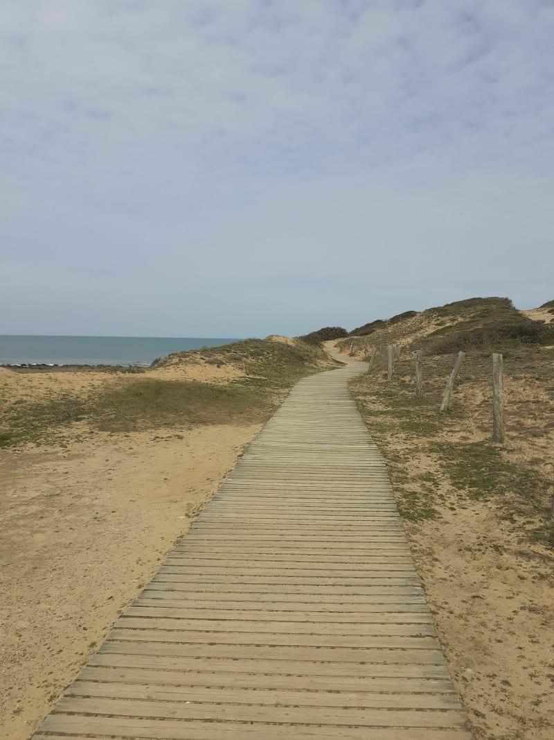 Sentier de la Pointe du Payré - Jard-sur-Mer