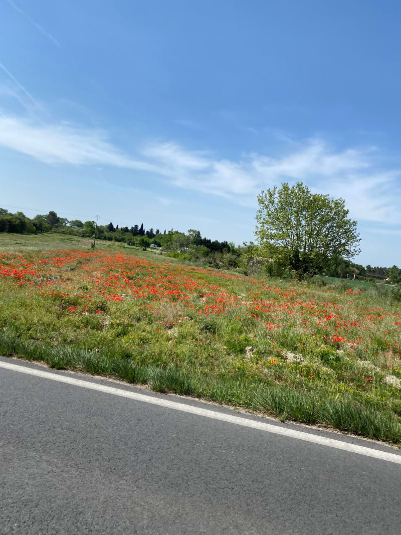 Marche nordique de Barbentane à la Montagnette - Barbentane
