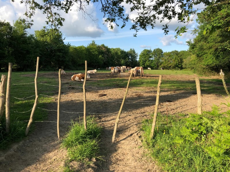 Balade à cheval depuis les écuries de Langlais - La Boissière-des-Landes