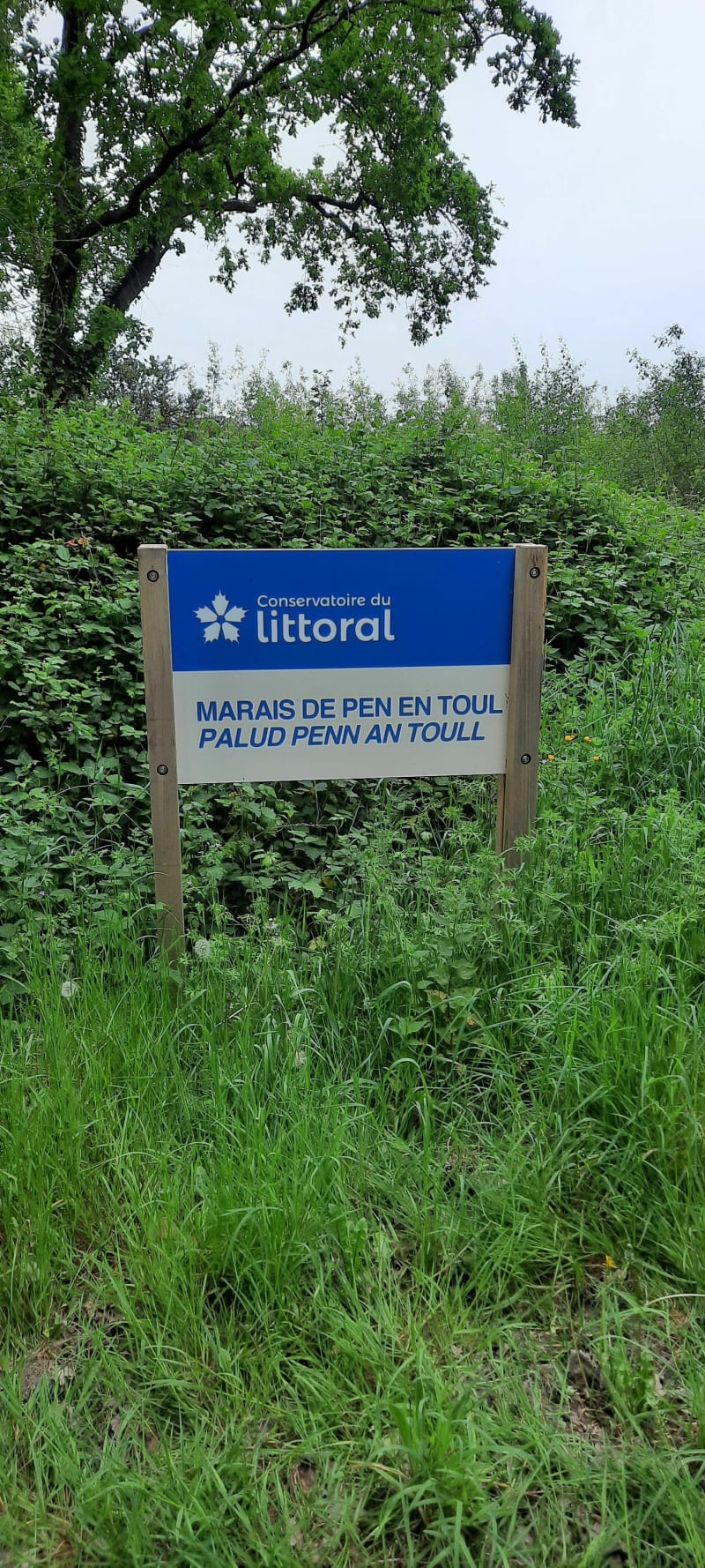 Belle ballade autour du marais, - Larmor-Baden