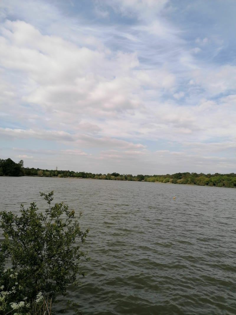 Lac de la Chausselière de la Guyonnière - Chausselière