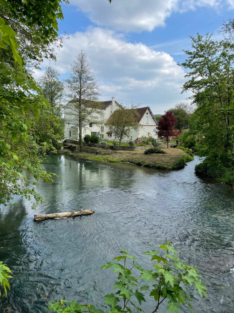 Balade entre Dammartin-sur-Tigeaux et Guérard - Dammartin-sur-Tigeaux