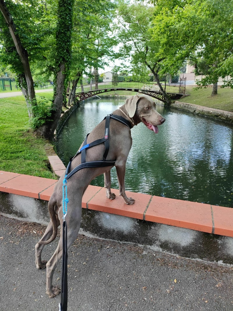Dans le parc de l'Armurié à Colomiers - Colomiers