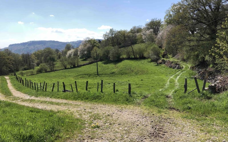 Longer le ruisseau des Granges et sa campagne tranquille - Lanobre
