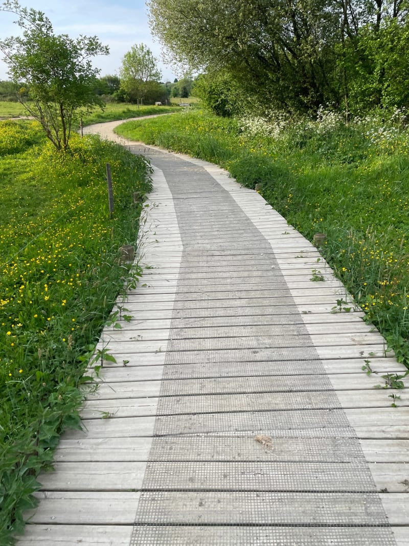 Balade sur les chemins des Lucs - Les Lucs-sur-Boulogne