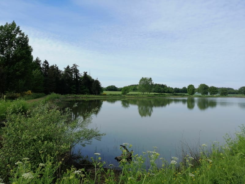 Boucle des Etangs - La Boissière-des-Landes