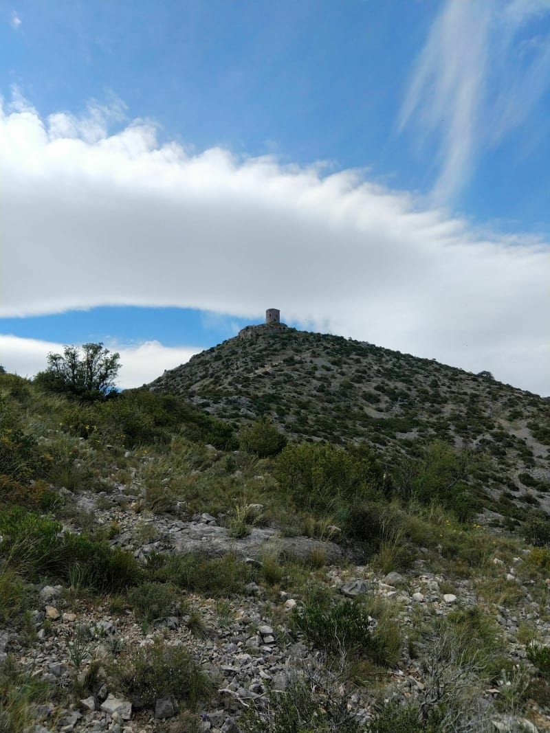 Tour de Tautavel - Cases-de-Pène