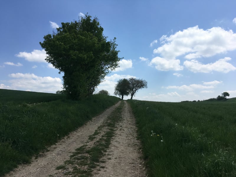 Belle boucle à Rongères , un maximum de chemins calmes. - Rongères