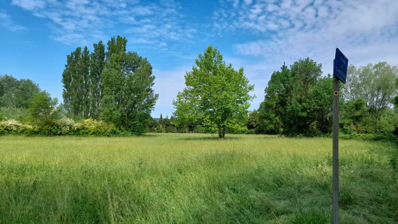 Belle ballade entre les parcs à chevaux et la Sorgue - Sorgues