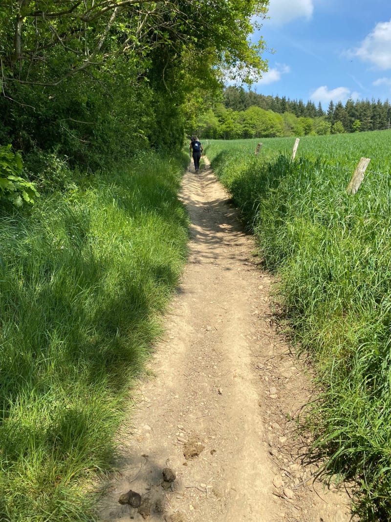 Balade dans la forêt et le village de Saint Léonard des bois - Saint-Léonard-des-Bois
