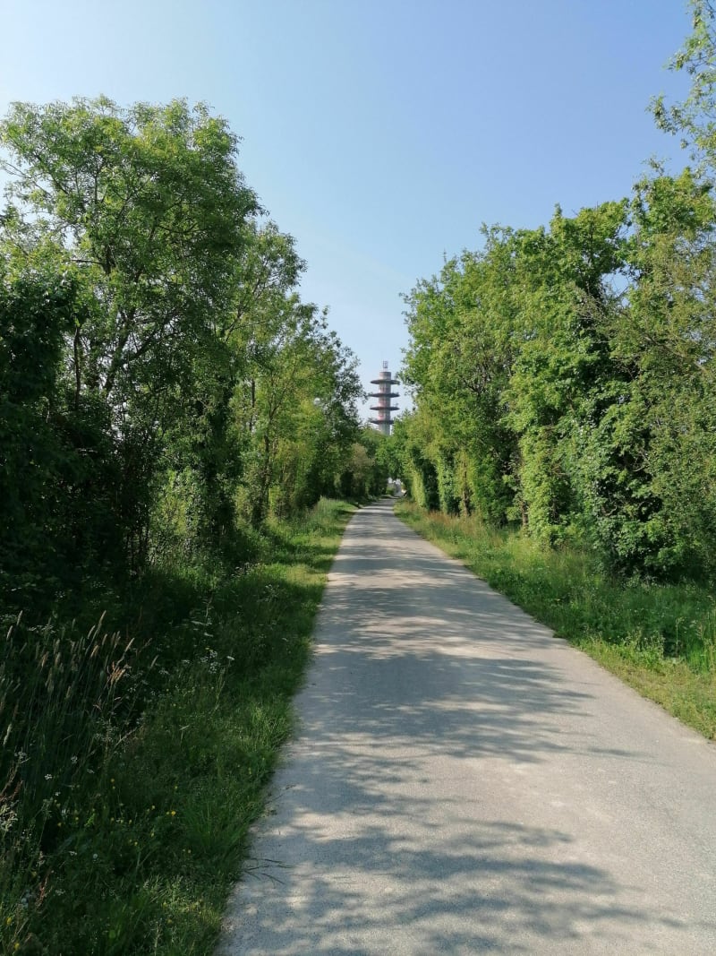 La promenade de l'Espace Agapé - Montaigu-Vendée