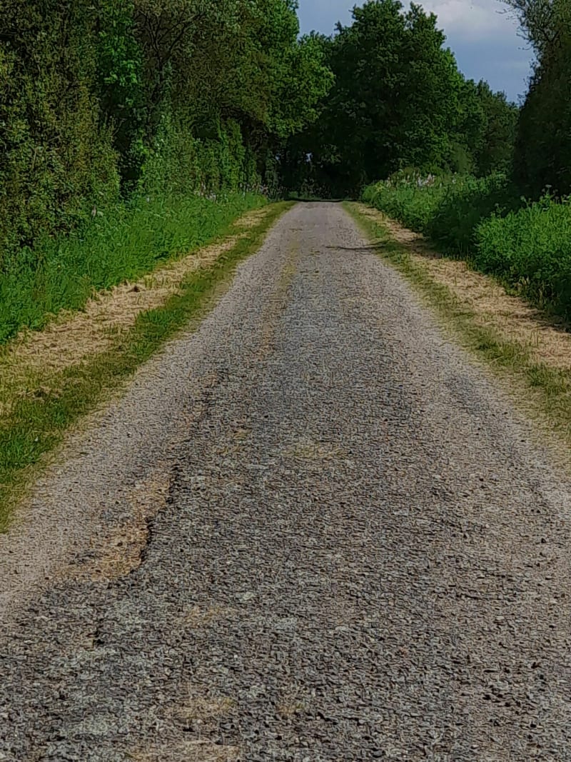 En chemin vers la Jeannière de Nieul-le-Dolent - Nieul-le-Dolent