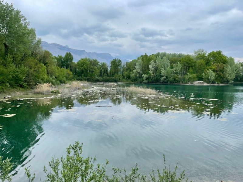 Balade secrète au lac de la Taillat - Meylan