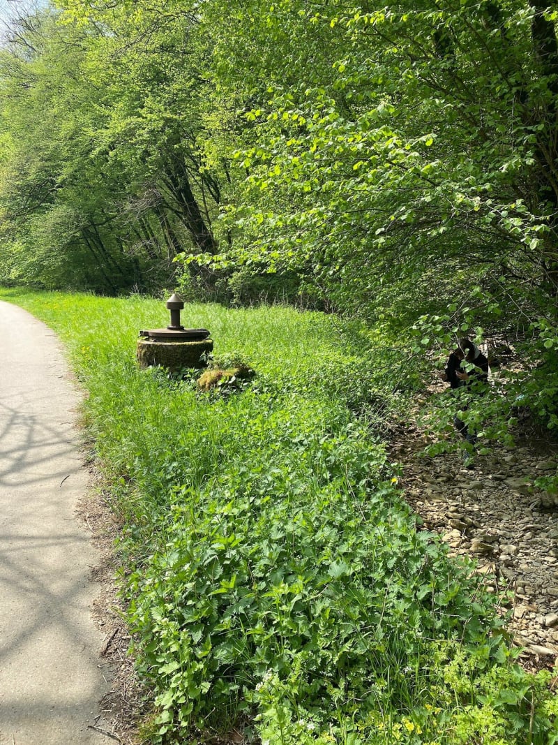 Parcours du relais à Herserange - Herserange