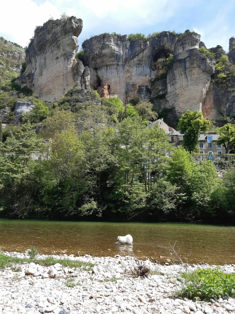 Les Gorges du Tarn - Gorges du Tarn Causses